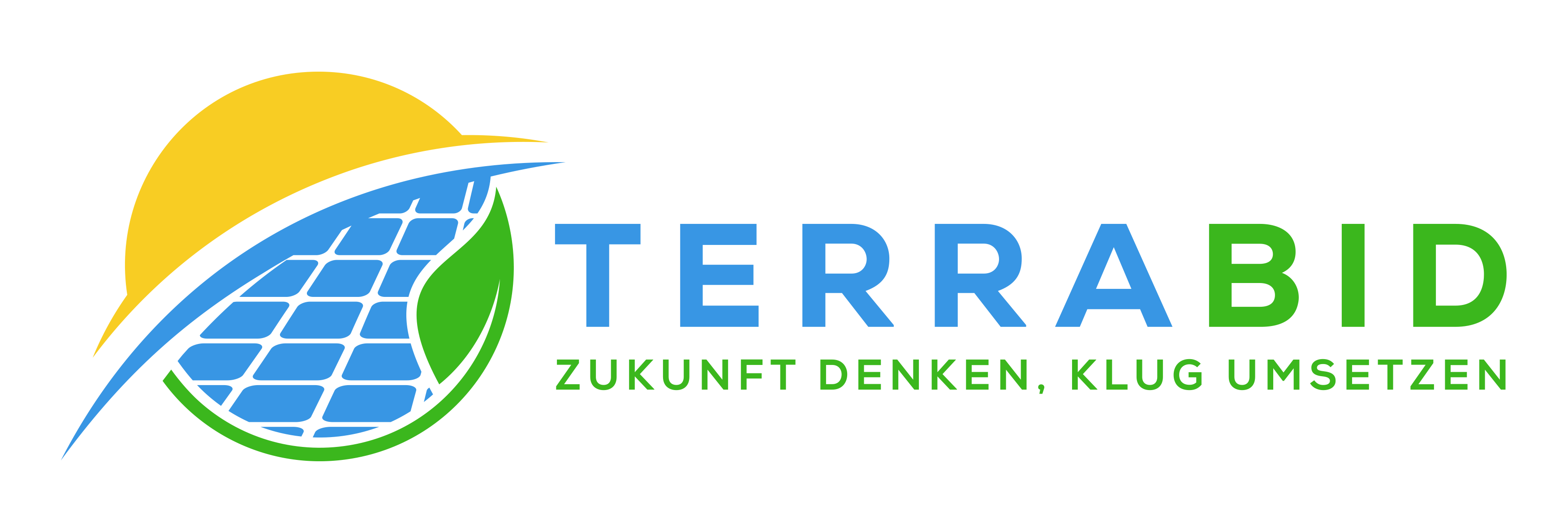 TerraBid